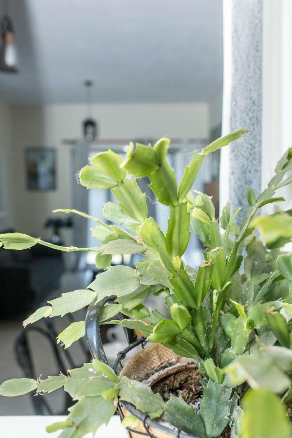 Luxury Skyline Apartment ペレカス エクステリア 写真